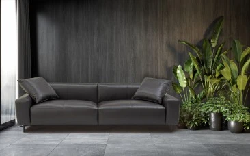sofa sofa